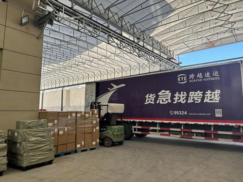 上线不到两年,打入70余个国家和地区,temu如何海外狂飙